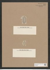 Navicula vetula A.Schm. (de-Toni-Nr.: Genus 1, Species 271) Zeichnungen Sammlung Grunow Nr. 624 (NHMW-BOT-W0366988)